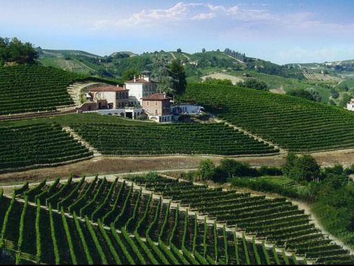 Piemont - vinoteca bar-olo